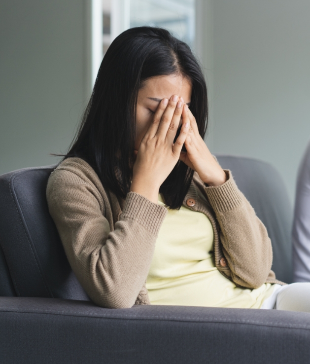 domestic violence litigation