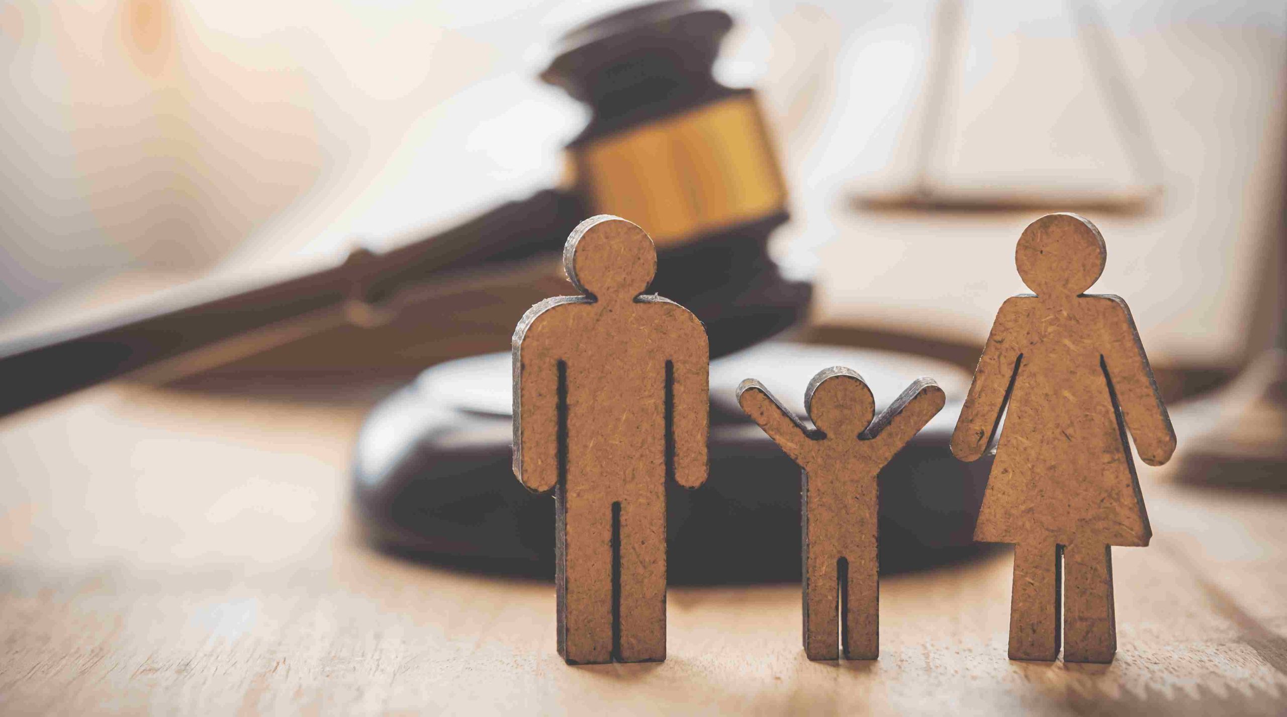 What Factors Does the Court Not Consider In Making Custody Orders?